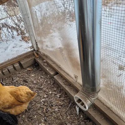 Máng ăn cho gà (Chicken Feeder)