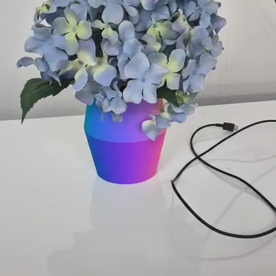 Chậu Hoa (Flower Pot)