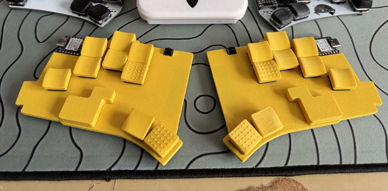 Vỏ Totem LP 18 Key Case - Image 1