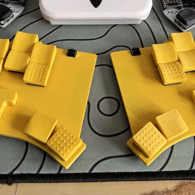 Vỏ Totem LP 18 Key Case