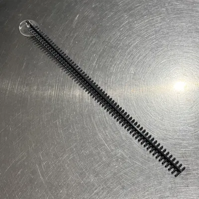 Cái Thang Giúp Bướm Đêm Thoát Khỏi Bồn Tắm