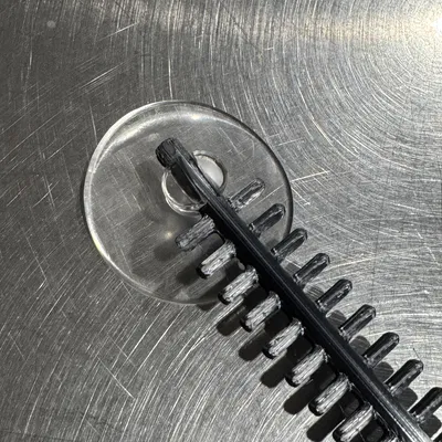 Cái Thang Giúp Bướm Đêm Thoát Khỏi Bồn Tắm