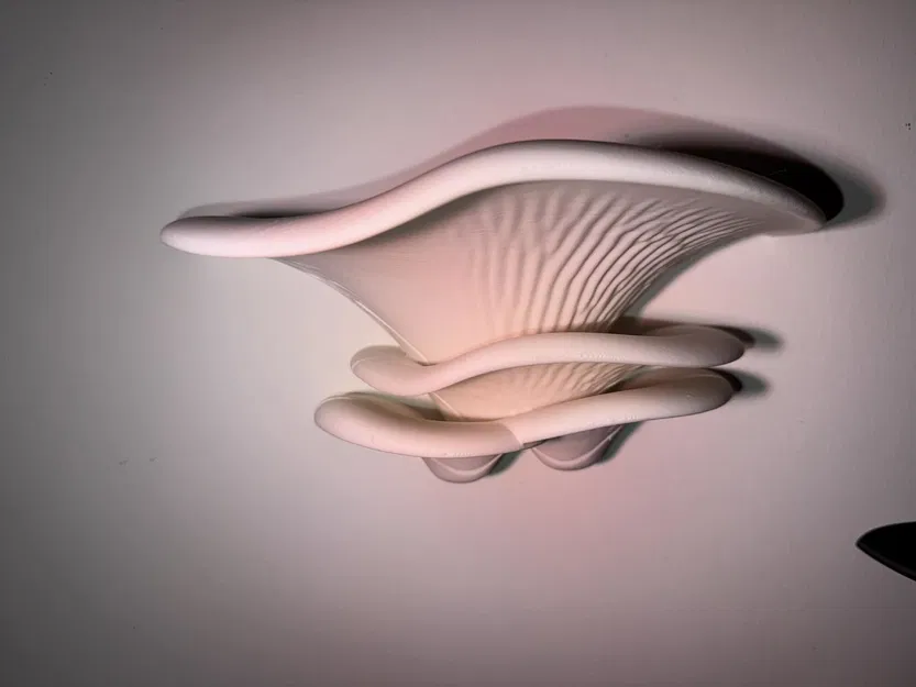 Shelf Mushroom – Kệ treo tường phong cách organic - Image 1