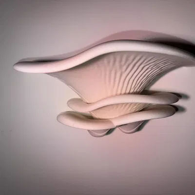 Shelf Mushroom – Kệ treo tường phong cách organic