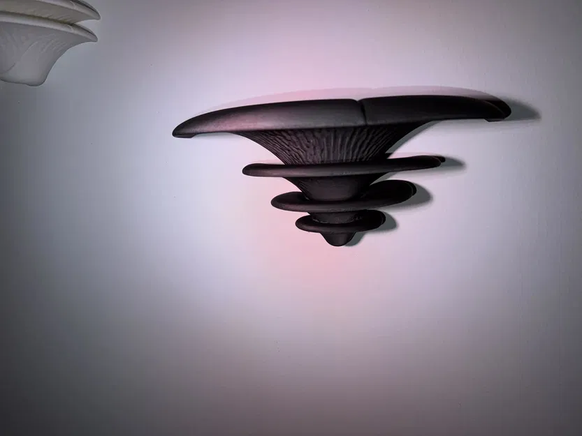 Shelf Mushroom – Kệ treo tường phong cách organic - Image 3