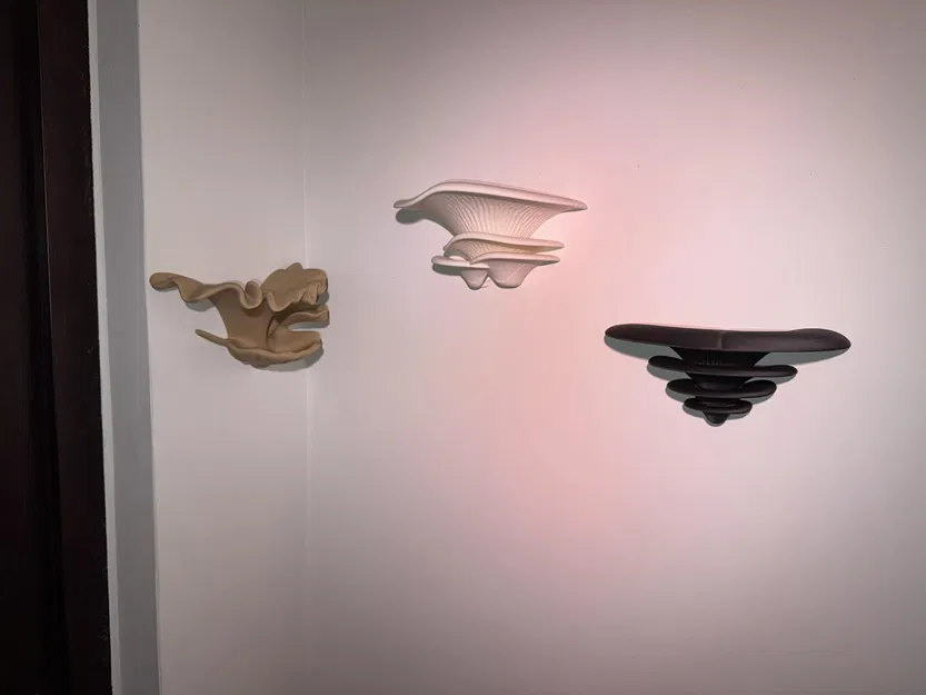 Shelf Mushroom – Kệ treo tường phong cách organic - Image 5
