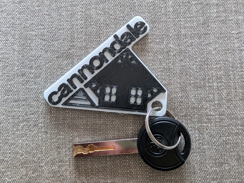 Móc khóa logo Cannondale vintage (keychain fob) - Image 1