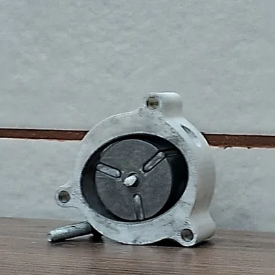 Vane Engine (Động cơ cánh gạt)