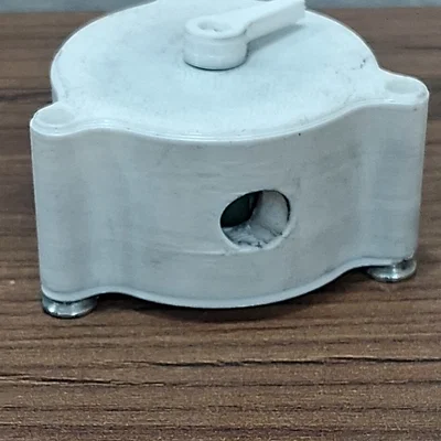 Vane Engine (Động cơ cánh gạt)