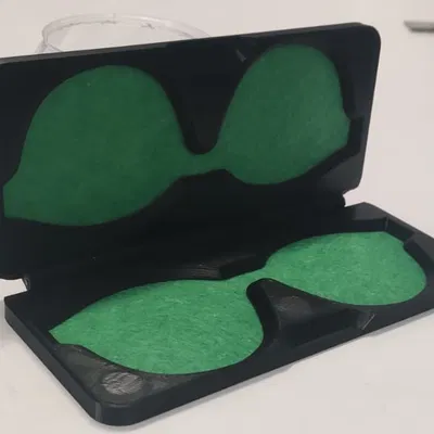 Hộp đựng kính râm kẹp (Clip-On Sunglasses Case)