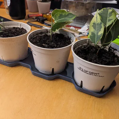 Plant Soucer 3X - Dĩa lót chậu cho 3 chậu (đáy đến 75mm)