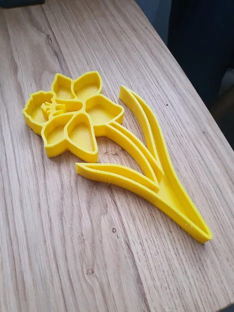 Khay cảm giác Narcissus (Narcissus sensory tray) - Image 1