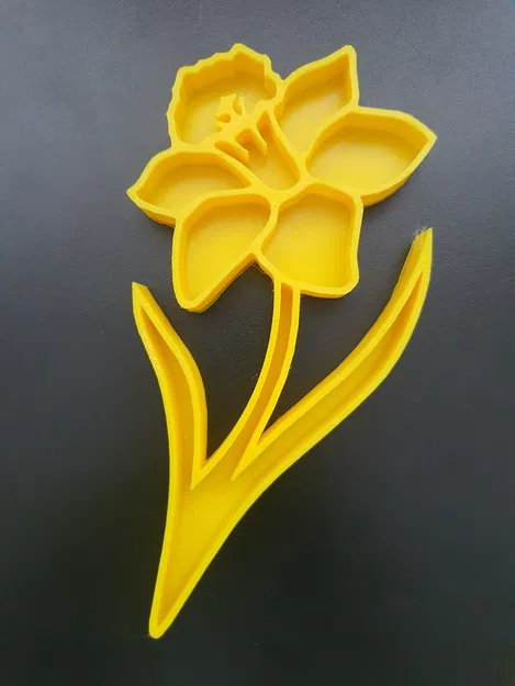 Khay cảm giác Narcissus (Narcissus sensory tray) - Image 2