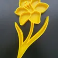 Khay cảm giác Narcissus (Narcissus sensory tray) - Thumbnail 2