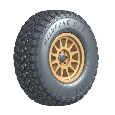 Lốp Tire Falken Wildpeak