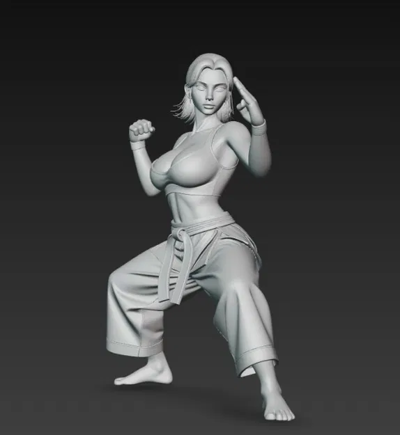 Cô gái sexy ngực bự đang đánh karate - Image 2