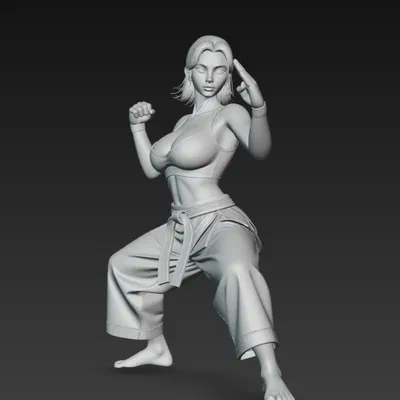 Cô gái sexy ngực bự đang đánh karate