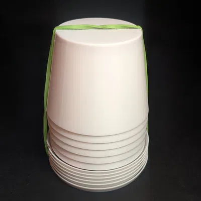 Liar's Dice - Travel Set (Bộ mang theo)