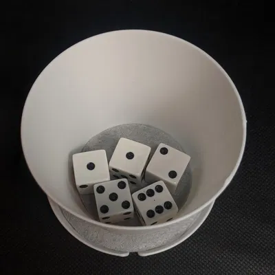 Liar's Dice - Travel Set (Bộ mang theo)