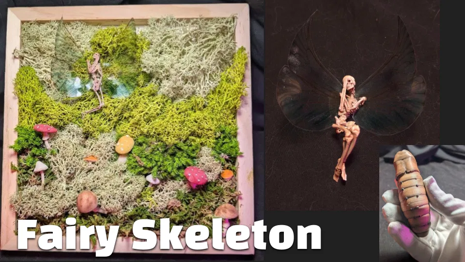Fairy Skeleton (Bộ xương tiên) - Image 1