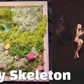 Fairy Skeleton (Bộ xương tiên) - Thumbnail 1