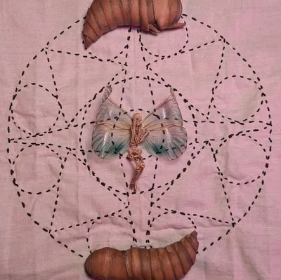 Fairy Skeleton (Bộ xương tiên)