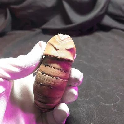 Fairy Skeleton (Bộ xương tiên)