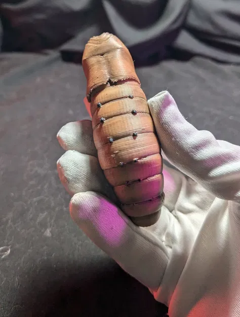 Fairy Skeleton (Bộ xương tiên) - Image 5