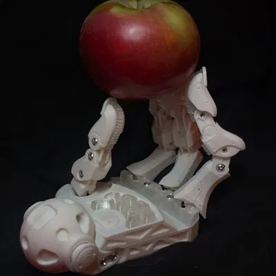 Bàn Tay Cyberpunk Có Khớp Tạo Dáng (Poseable Cyberpunk Hand)