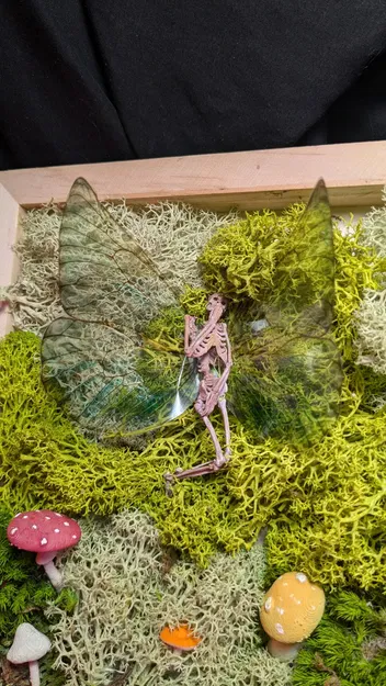 Fairy Skeleton (Bộ xương tiên) - Image 7