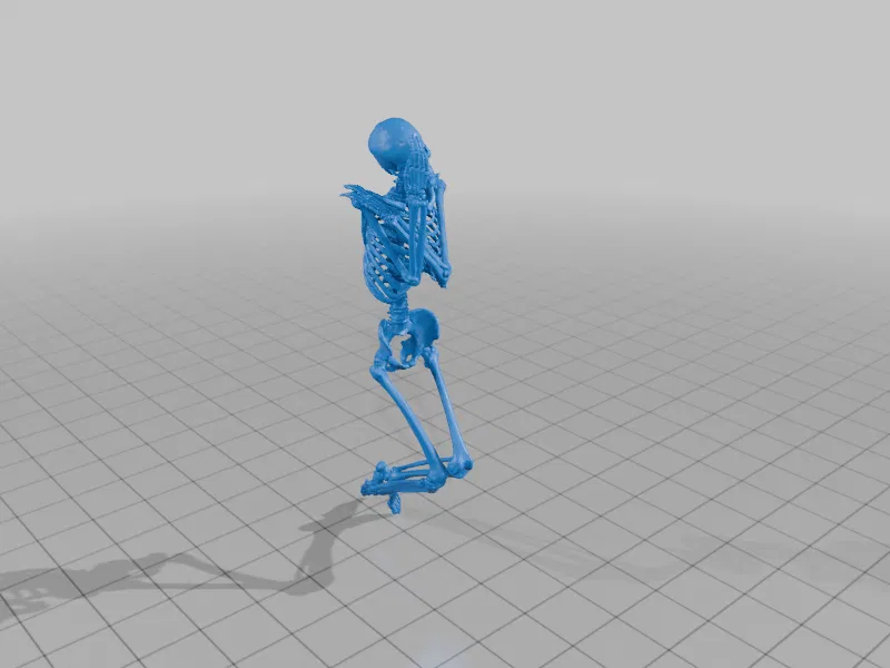 Fairy Skeleton (Bộ xương tiên) - Image 10