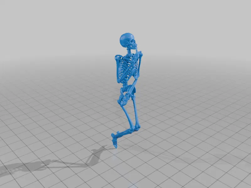 Fairy Skeleton (Bộ xương tiên) - Image 13