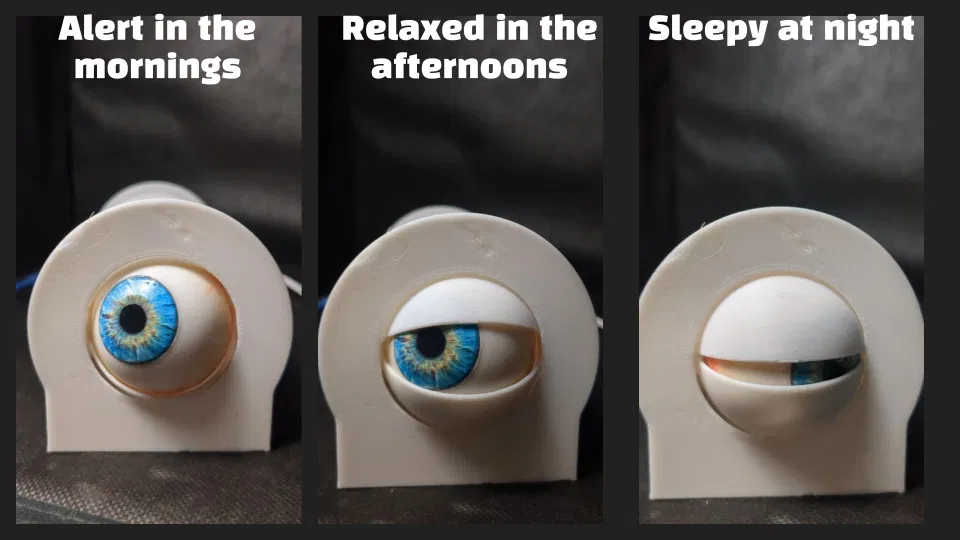 Animatronic Eye Clock – Đồng hồ mắt Animatronic - Image 4