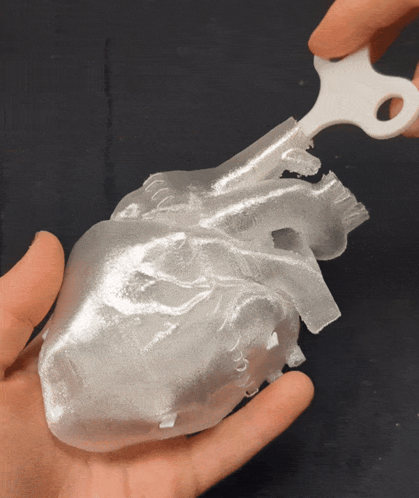 Trái Tim Người Đập Nhịp - Gears, Crank - Image 2