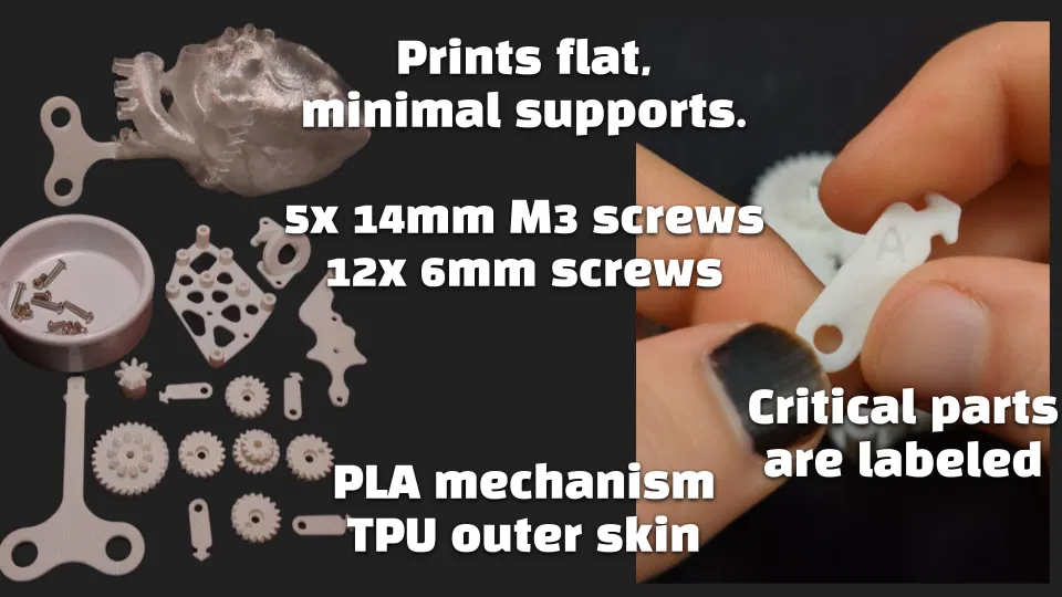 Trái Tim Người Đập Nhịp - Gears, Crank - Image 3