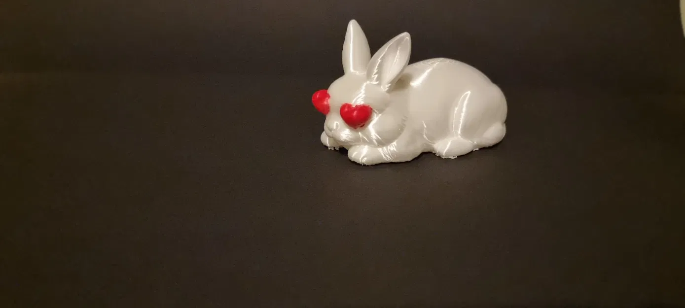 Rabbit lovestruck – Thỏ Mắt Trái Tim - Image 3