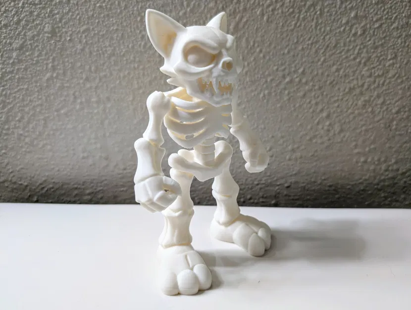 Skullcat – Mèo Bộ Xương Cartoon - Image 3