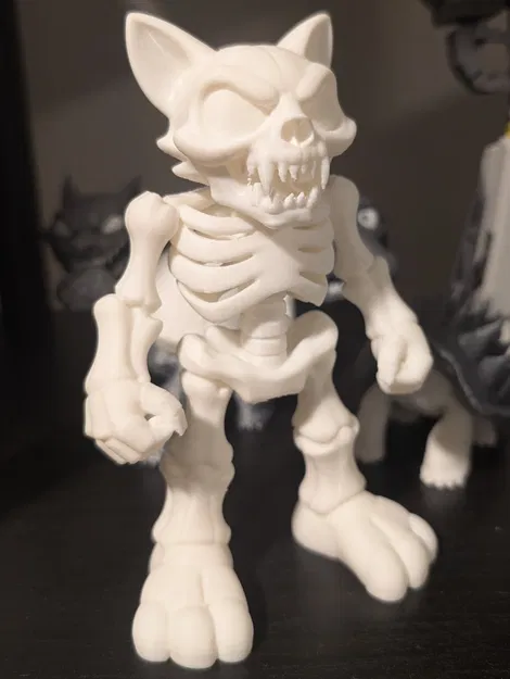 Skullcat – Mèo Bộ Xương Cartoon - Image 4