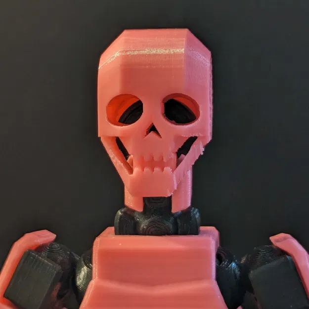 Đầu Sọ Cơ Bản cho Dummy 13 - Image 4