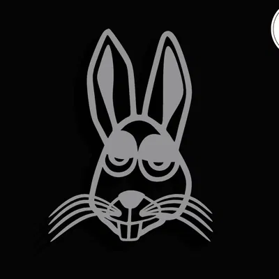 Đầu Thỏ Chill (Chill Rabbit Head)