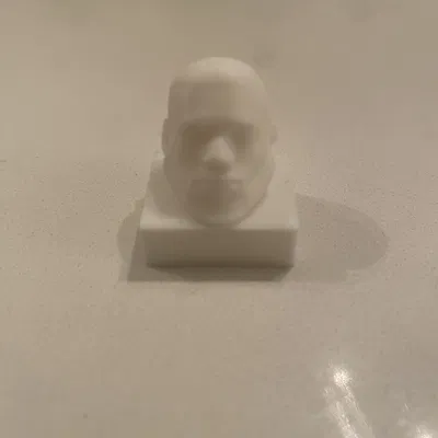 Nắp che camera laptop mặt Lebron (Lebron Face Laptop Camera Cover)