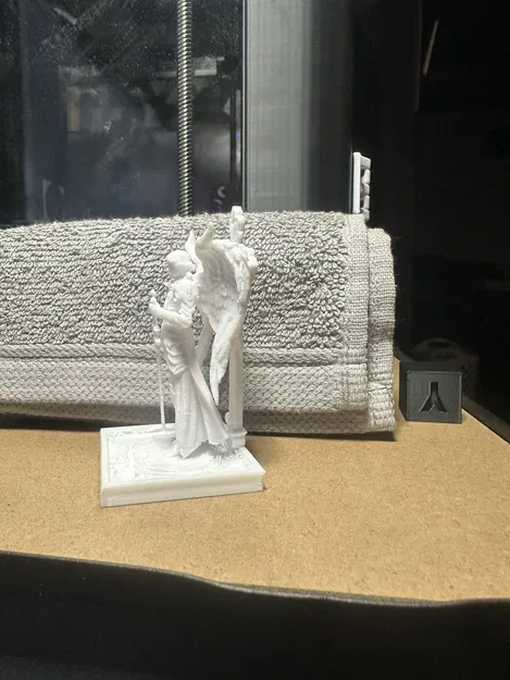 Thiên Thần Hộ Vệ (Guardian angel) - Image 1