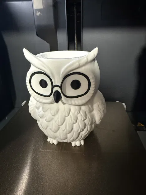 Chậu Cú Mèo Chibi Dễ Thương Đeo Kính | Lỗ Thoát Nước | Đựng Bút - Image 1