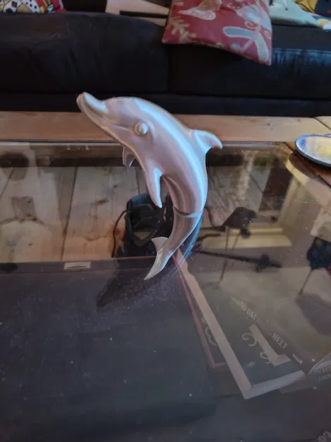 Cá Heo Nam Châm (Magnetic Dolphin) - Image 1