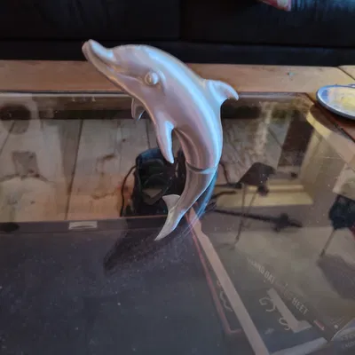 Cá Heo Nam Châm (Magnetic Dolphin)