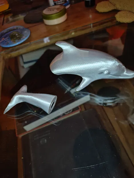 Cá Heo Nam Châm (Magnetic Dolphin) - Image 2