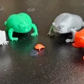 Ếch Giận Dữ / Ếch Cọc (Angry Frog / Grumpy Frog) - Thumbnail 1