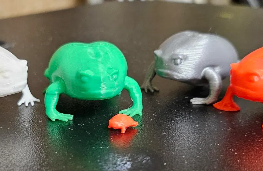 Ếch Giận Dữ / Ếch Cọc (Angry Frog / Grumpy Frog) - Image 2