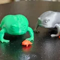 Ếch Giận Dữ / Ếch Cọc (Angry Frog / Grumpy Frog) - Thumbnail 2