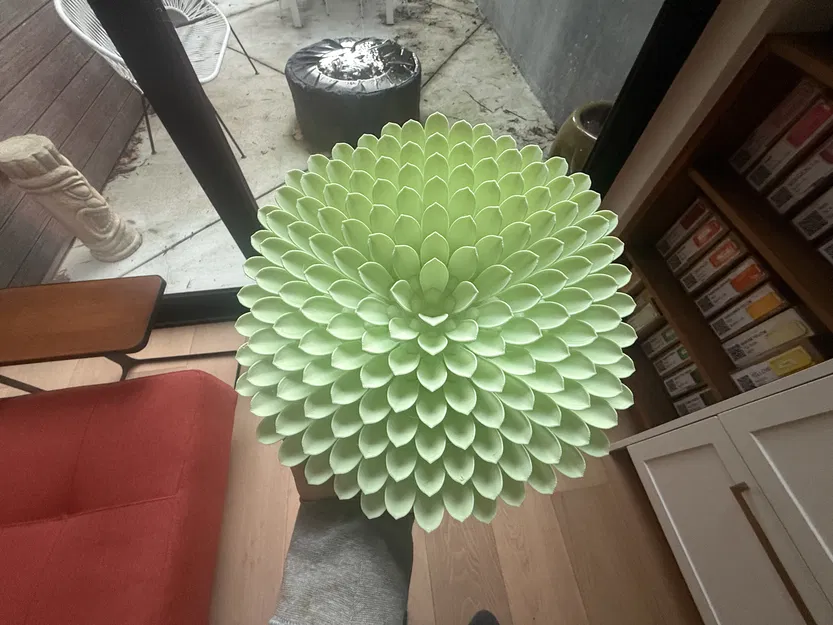 Mini Succulent Art - Test - Image 1